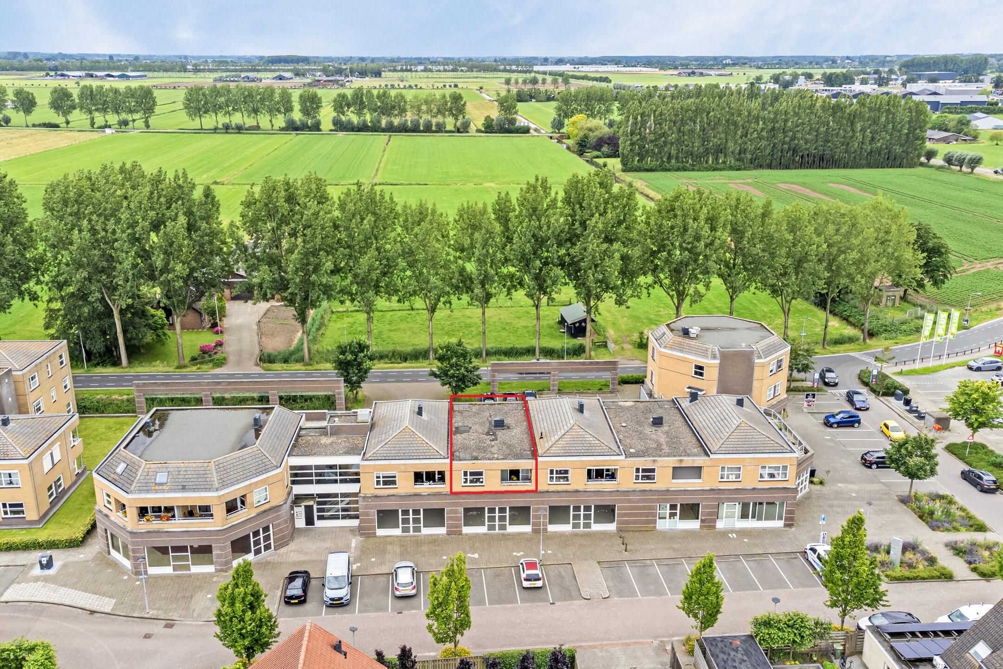 BL100412-3101-Groenling-28,-Brakel-188980227