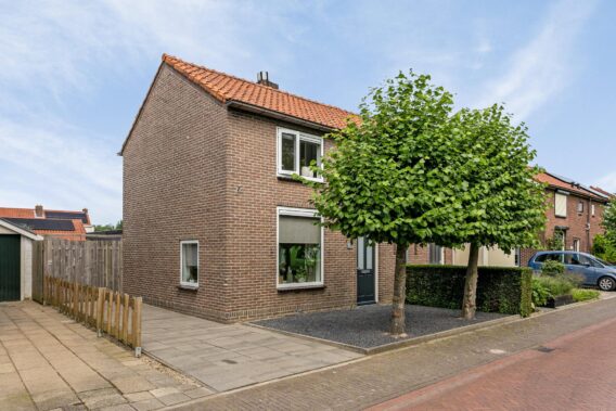 BL100416-3262-Wilhelminalaan-30,-Brakel-192488637