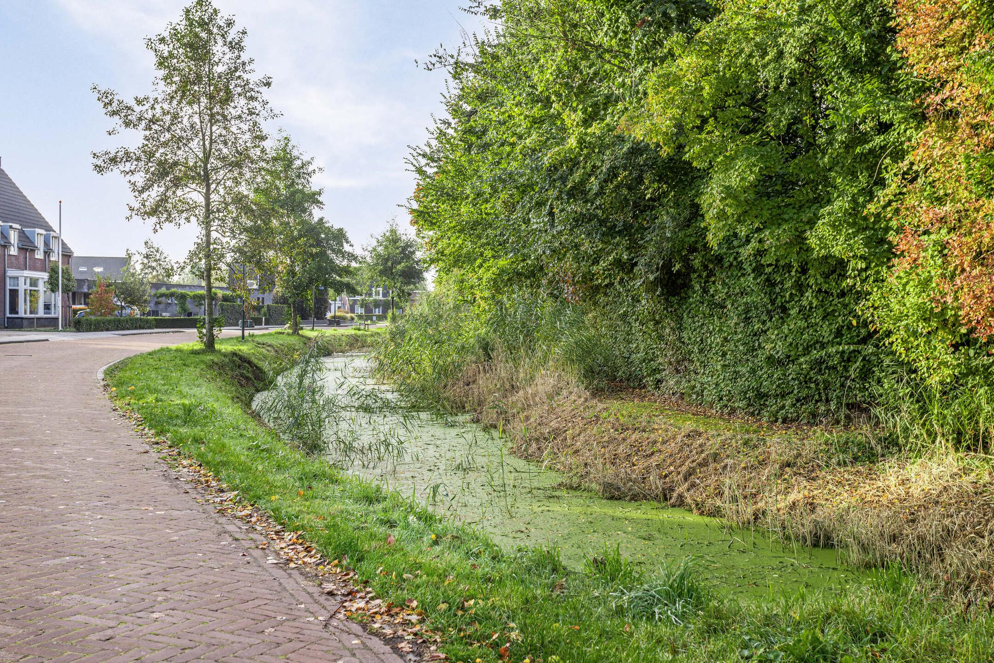 BL100428-8146-Bloklandsingel-22,-Wijk-en-aalburg-202994105