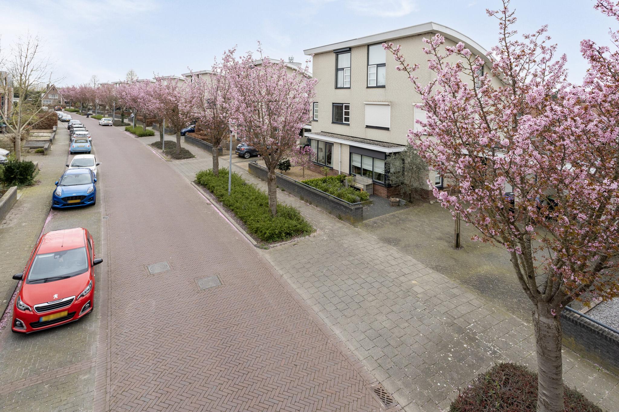 ZL100412-4818-Heer-Balderikstraat-68,-Zaltbommel-175791613